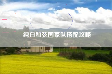 纯白和弦国家队搭配攻略