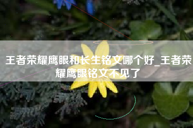 王者荣耀鹰眼和长生铭文哪个好_王者荣耀鹰眼铭文不见了