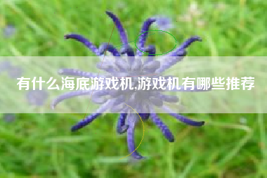 有什么海底游戏机,游戏机有哪些推荐