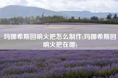 玛娜希斯回响火把怎么制作(玛娜希斯回响火把在哪)