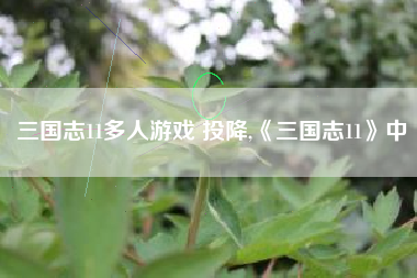 三国志11多人游戏 投降,《三国志11》中