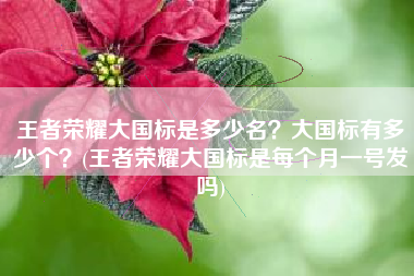 王者荣耀大国标是多少名？大国标有多少个？(王者荣耀大国标是每个月一号发吗)
