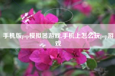 手机版psp模拟器游戏,手机上怎么玩psp游戏