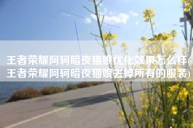 王者荣耀阿轲暗夜猫娘优化效果怎么样(王者荣耀阿轲暗夜猫娘去掉所有的服装)