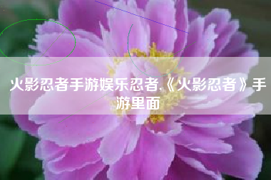 火影忍者手游娱乐忍者,《火影忍者》手游里面