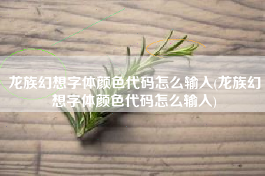龙族幻想字体颜色代码怎么输入(龙族幻想字体颜色代码怎么输入)