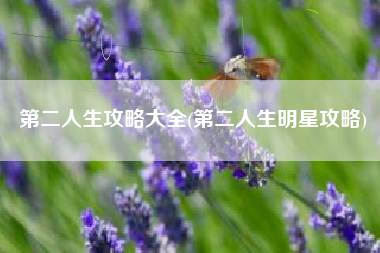 第二人生攻略大全(第二人生明星攻略)