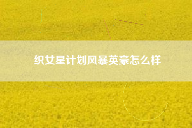 织女星计划风暴英豪怎么样
