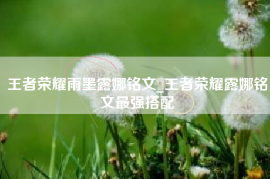 王者荣耀雨墨露娜铭文_王者荣耀露娜铭文最强搭配