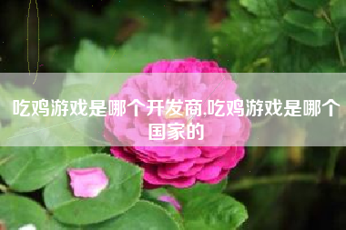 吃鸡游戏是哪个开发商,吃鸡游戏是哪个国家的