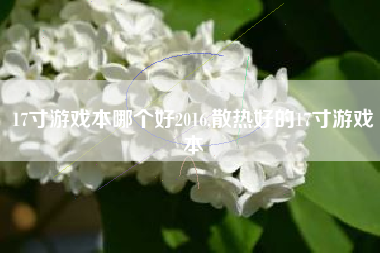 17寸游戏本哪个好2016,散热好的17寸游戏本