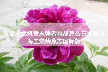航海王燃烧意志强者挑战怎么玩视频(航海王燃烧意志国际版)