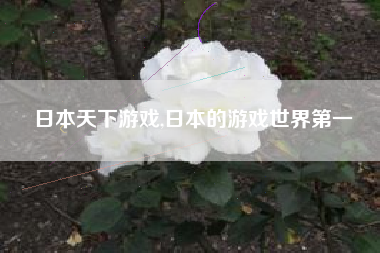 日本天下游戏,日本的游戏世界第一