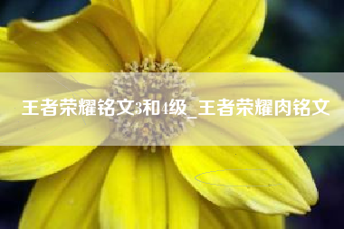 王者荣耀铭文3和4级_王者荣耀肉铭文