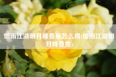 烟雨江湖明月峰香蕉怎么得(烟雨江湖明月峰香焦)