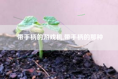 带手柄的游戏机,带手柄的那种