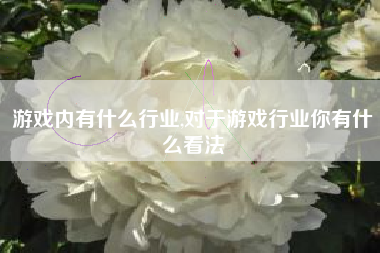 游戏内有什么行业,对于游戏行业你有什么看法