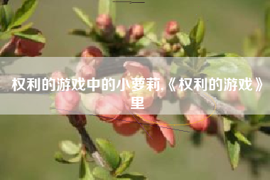 权利的游戏中的小萝莉,《权利的游戏》里