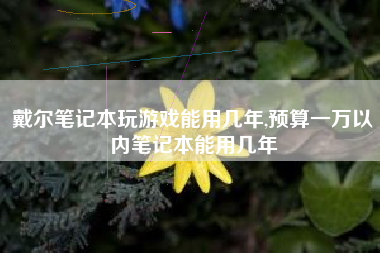 戴尔笔记本玩游戏能用几年,预算一万以内笔记本能用几年