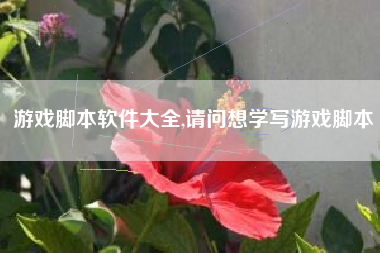 游戏脚本软件大全,请问想学写游戏脚本