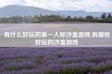 有什么好玩的第一人称沙盒游戏,有哪些好玩的沙盒游戏