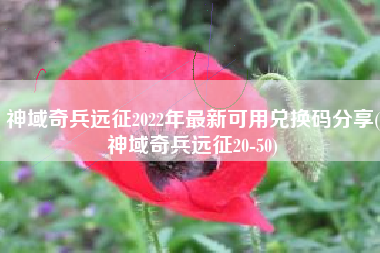 神域奇兵远征2022年最新可用兑换码分享(神域奇兵远征20-50)