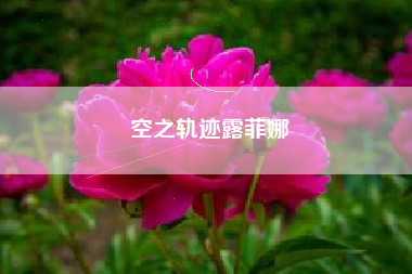 空之轨迹露菲娜