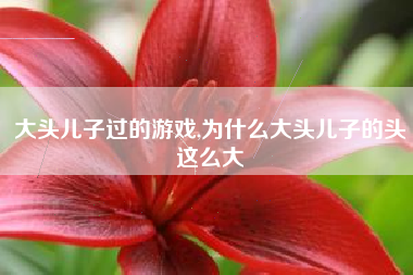 大头儿子过的游戏,为什么大头儿子的头这么大