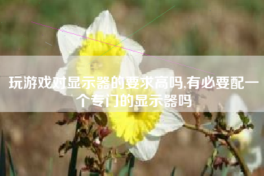 玩游戏对显示器的要求高吗,有必要配一个专门的显示器吗
