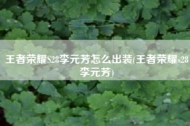 王者荣耀S28李元芳怎么出装(王者荣耀s28李元芳)
