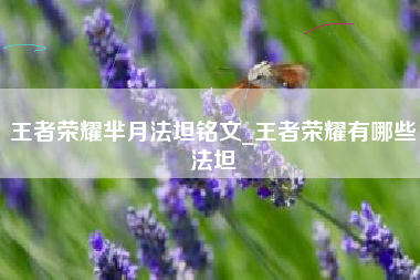 王者荣耀芈月法坦铭文_王者荣耀有哪些法坦
