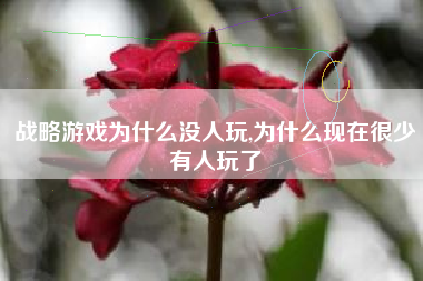 战略游戏为什么没人玩,为什么现在很少有人玩了