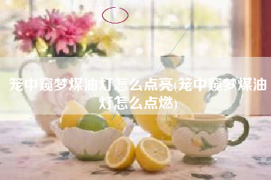 笼中窥梦煤油灯怎么点亮(笼中窥梦煤油灯怎么点燃)