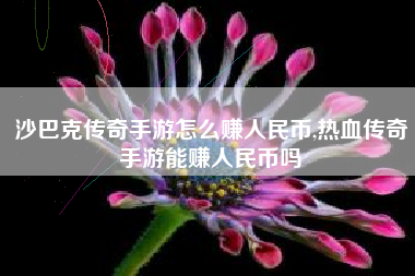 沙巴克传奇手游怎么赚人民币,热血传奇手游能赚人民币吗