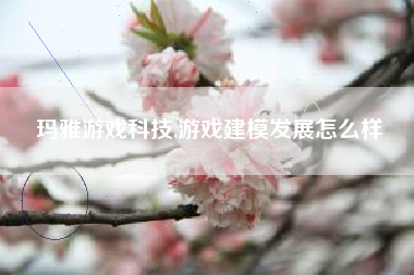 玛雅游戏科技,游戏建模发展怎么样