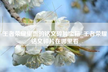 王者荣耀里面的铭文碎片宝箱_王者荣耀铭文碎片在哪里看