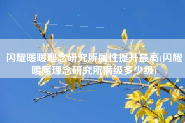 闪耀暖暖理念研究所属性提升最高(闪耀暖暖理念研究所满级多少级)