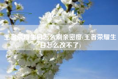 王者荣耀生日怎么刷亲密度(王者荣耀生日怎么改不了)