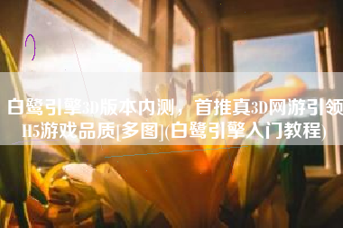 白鹭引擎3D版本内测，首推真3D网游引领H5游戏品质[多图](白鹭引擎入门教程)