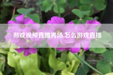 游戏视频直播秀场,怎么游戏直播