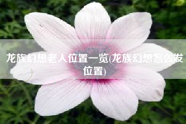 龙族幻想老人位置一览(龙族幻想怎么发位置)