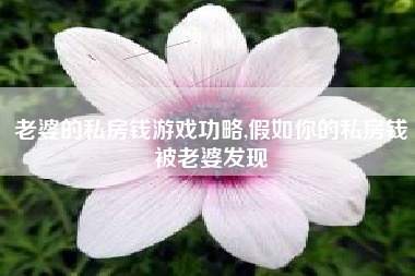 老婆的私房钱游戏功略,假如你的私房钱被老婆发现