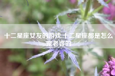 十二星座女友的游戏,十二星座都是怎么宠老婆的