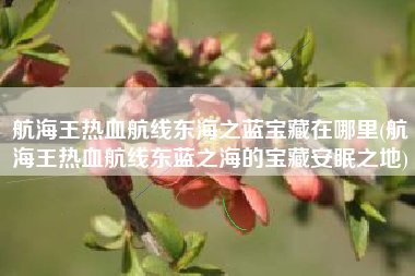 航海王热血航线东海之蓝宝藏在哪里(航海王热血航线东蓝之海的宝藏安眠之地)