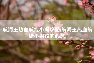 航海王热血航线小冯攻略(航海王热血航线小男孩的心意)
