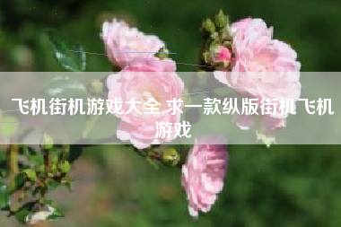 飞机街机游戏大全,求一款纵版街机飞机游戏