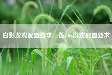 白影游戏配置要求一览(dcs游戏配置要求)
