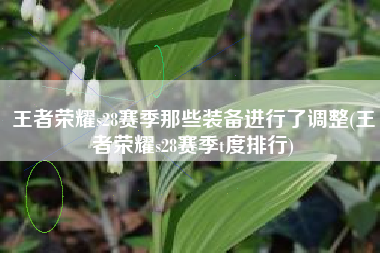 王者荣耀s28赛季那些装备进行了调整(王者荣耀s28赛季t度排行)