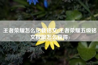 王者荣耀怎么记载铭文(王者荣耀五级铭文权限怎么获得)
