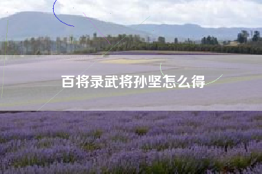 百将录武将孙坚怎么得